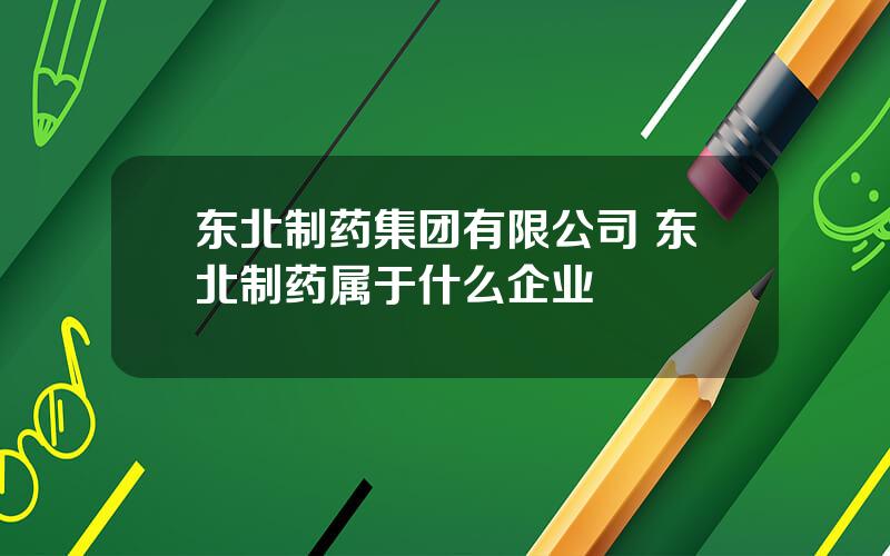 东北制药集团有限公司 东北制药属于什么企业